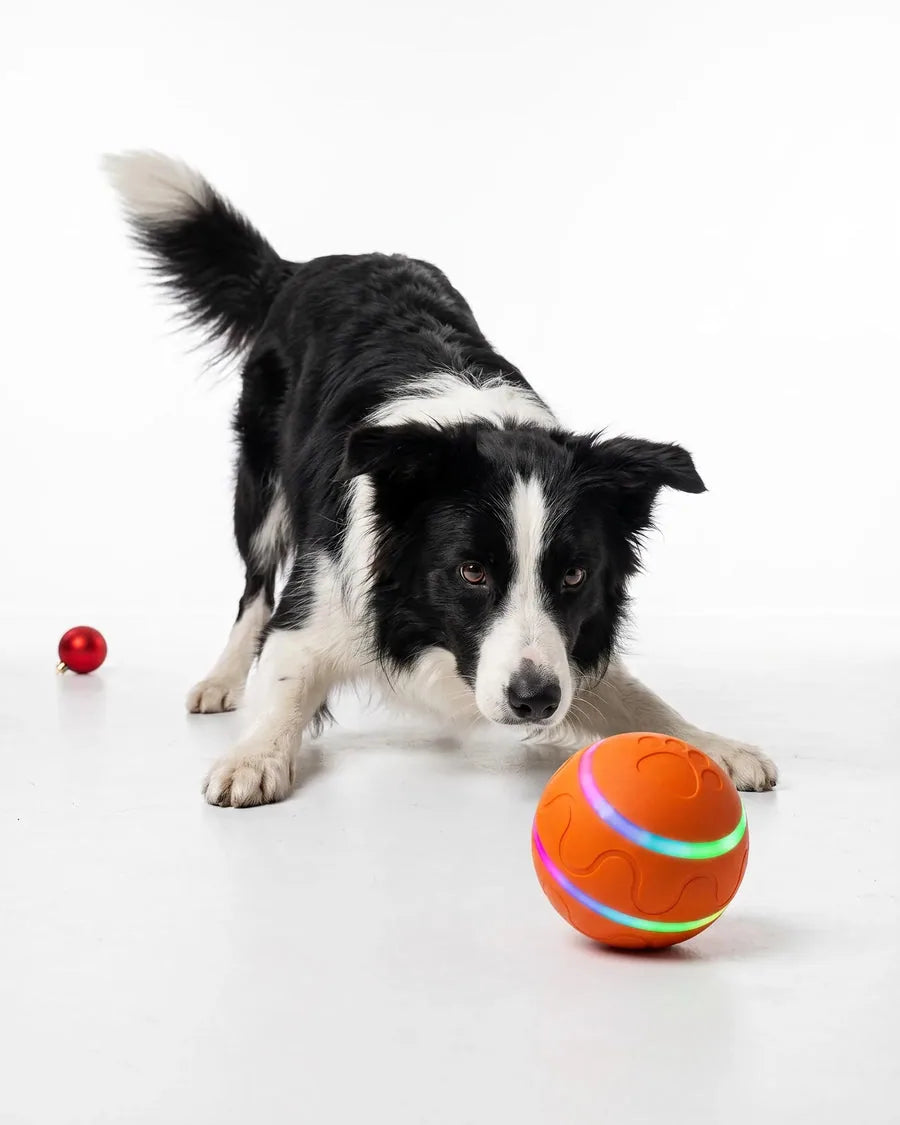Interactive Self-Moving Dog Toy