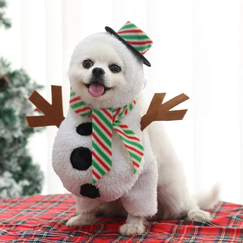 Basketball Dog Costume
